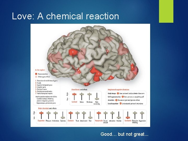 Love: A chemical reaction Good… but not great. . . 