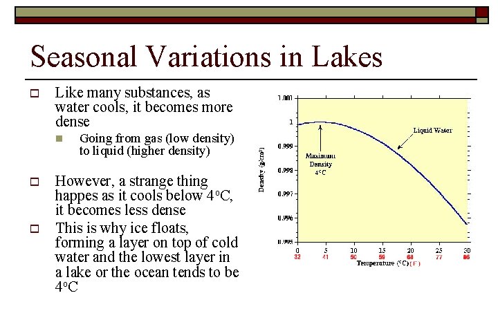 Seasonal Variations in Lakes o Like many substances, as water cools, it becomes more