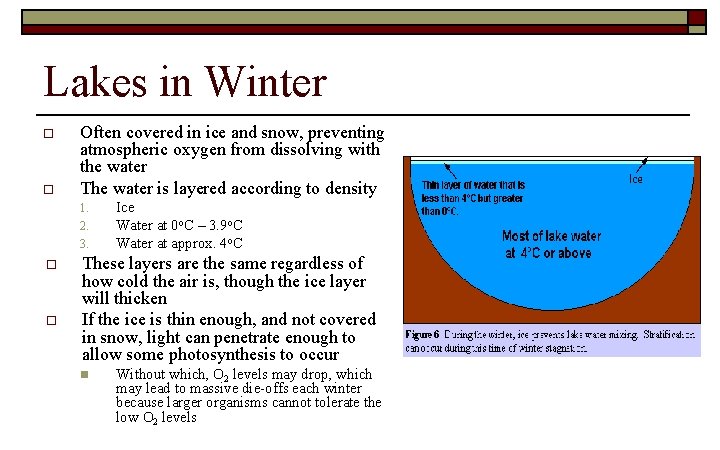 Lakes in Winter o o Often covered in ice and snow, preventing atmospheric oxygen