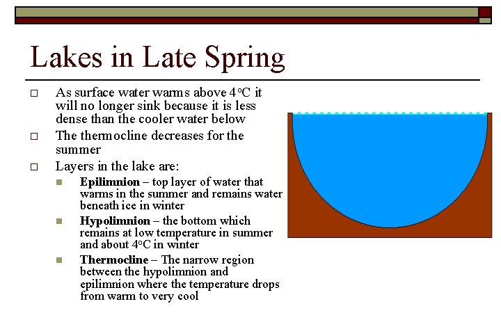 Lakes in Late Spring o o o As surface water warms above 4 o.