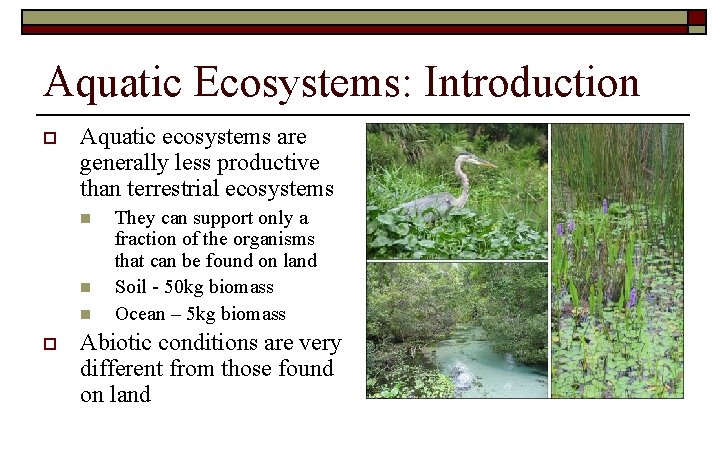 Aquatic Ecosystems: Introduction o Aquatic ecosystems are generally less productive than terrestrial ecosystems n