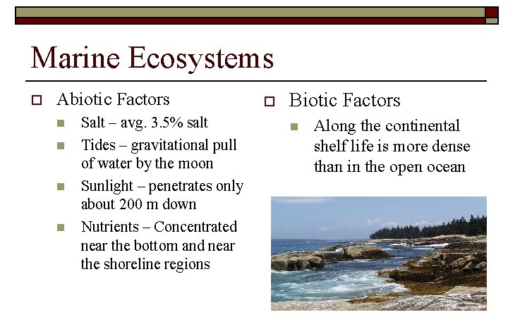 Marine Ecosystems o Abiotic Factors n n Salt – avg. 3. 5% salt Tides
