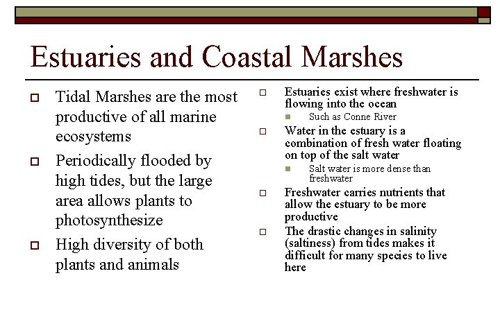 Estuaries and Coastal Marshes o o o Tidal Marshes are the most productive of