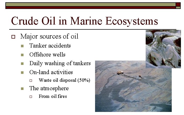 Crude Oil in Marine Ecosystems o Major sources of oil n n Tanker accidents