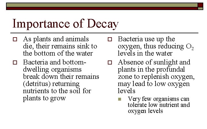 Importance of Decay o o As plants and animals die, their remains sink to