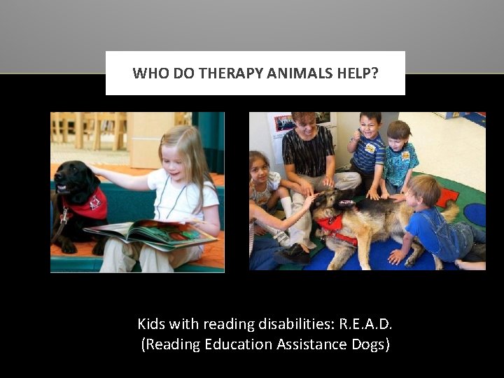WHO DO THERAPY ANIMALS HELP? Kids with reading disabilities: R. E. A. D. (Reading
