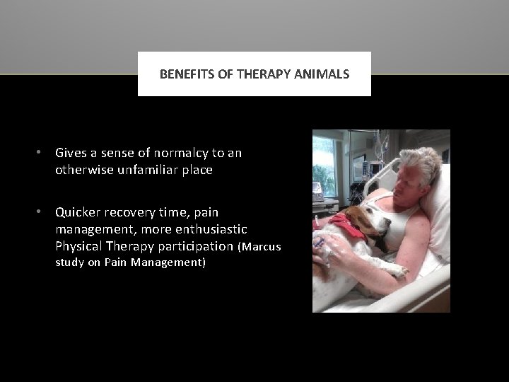 BENEFITS OF THERAPY ANIMALS • Gives a sense of normalcy to an otherwise unfamiliar