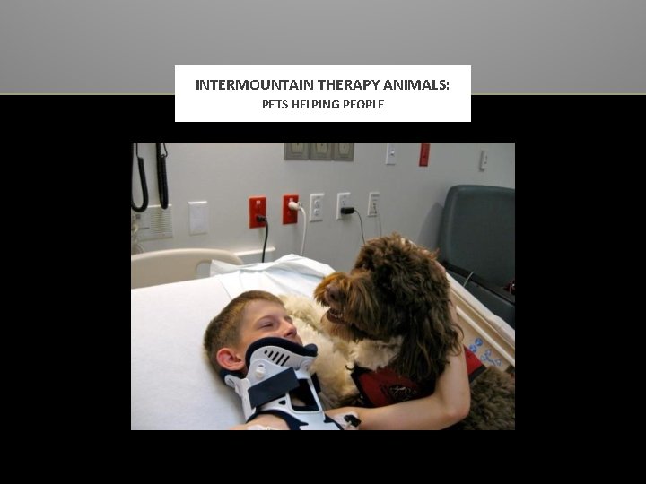 INTERMOUNTAIN THERAPY ANIMALS: PETS HELPING PEOPLE 