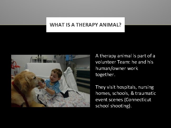 WHAT IS A THERAPY ANIMAL? A therapy animal is part of a volunteer Team: