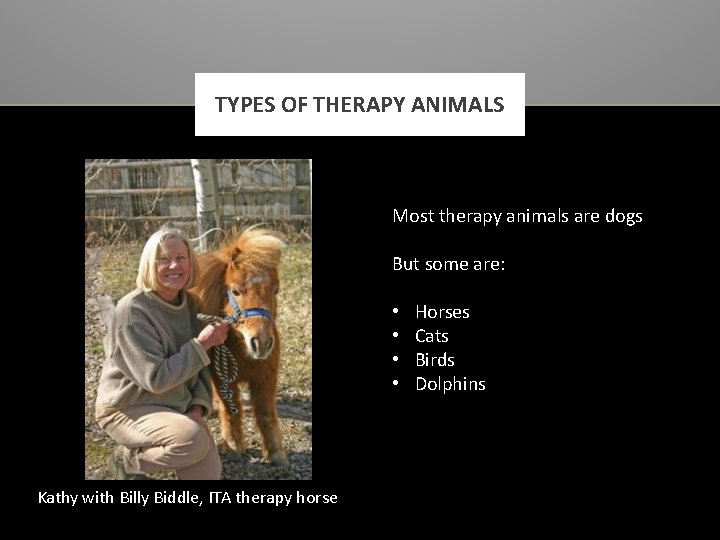 TYPES OF THERAPY ANIMALS Most therapy animals are dogs But some are: • •
