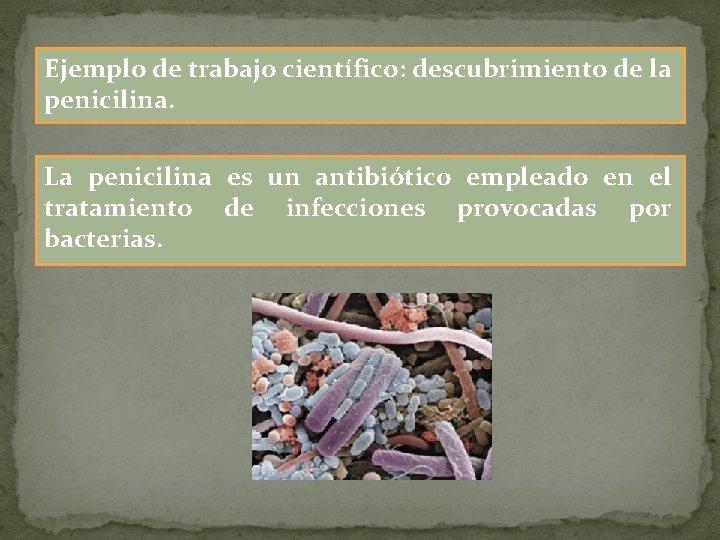 Ejemplo de trabajo científico: descubrimiento de la penicilina. La penicilina es un antibiótico empleado