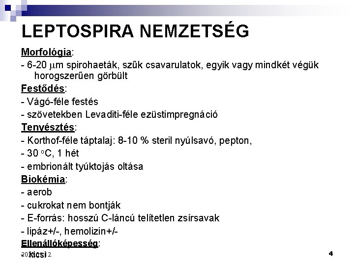 LEPTOSPIRA NEMZETSÉG Morfológia: - 6 -20 m spirohaeták, szűk csavarulatok, egyik vagy mindkét végük