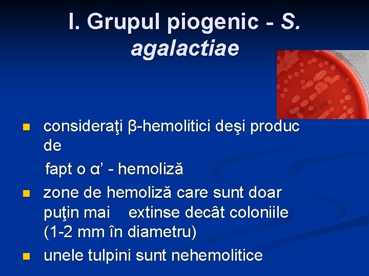 I. Grupul piogenic - S. agalactiae n n n consideraţi β-hemolitici deşi produc de I. Grupul piogenic - S. agalactiae n n n consideraţi β-hemolitici deşi produc de