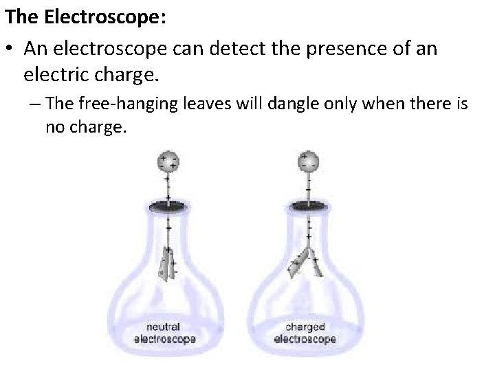 The Electroscope: • An electroscope can detect the presence of an electric charge. –