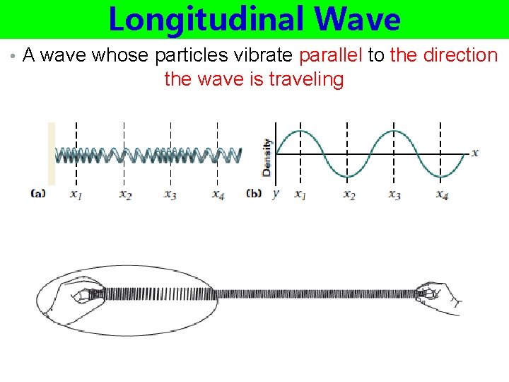 Longitudinal Wave • A wave whose particles vibrate parallel to the direction the wave