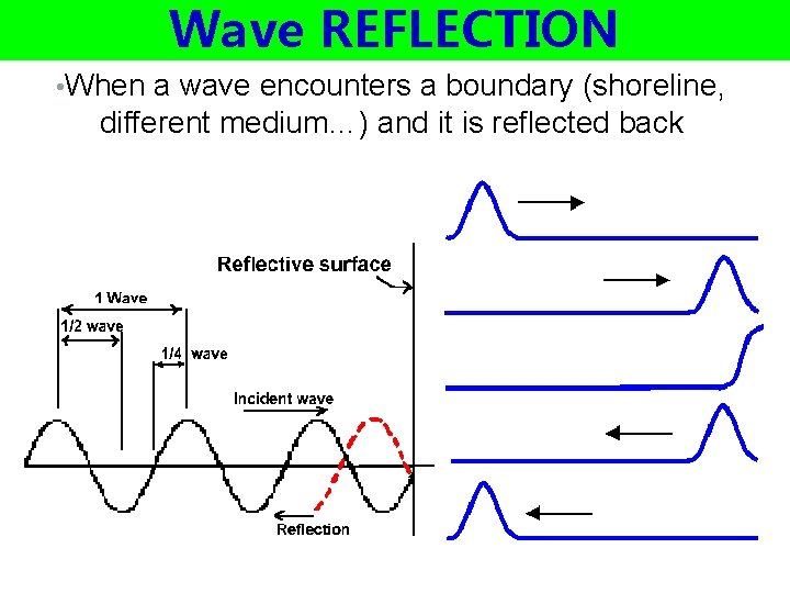 Wave REFLECTION • When a wave encounters a boundary (shoreline, different medium…) and it