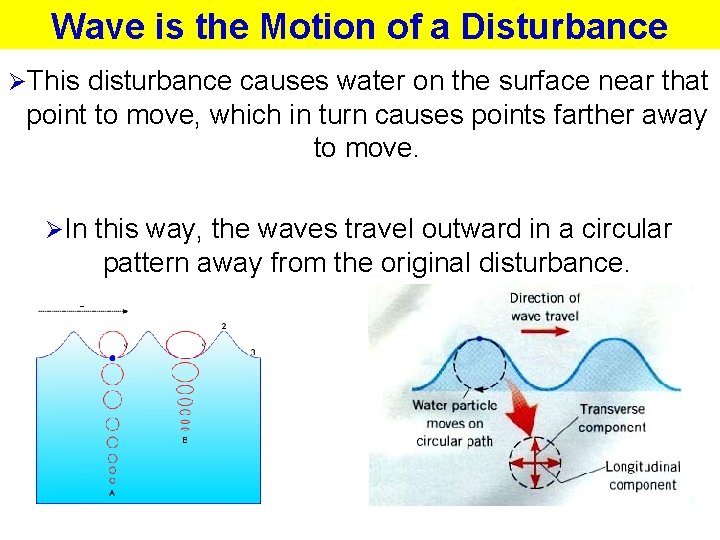 Wave is the Motion of a Disturbance ØThis disturbance causes water on the surface