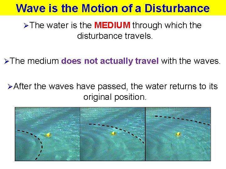 Wave is the Motion of a Disturbance ØThe water is the MEDIUM through which