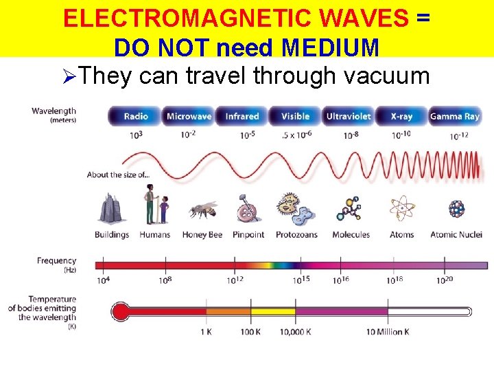 ELECTROMAGNETIC WAVES = DO NOT need MEDIUM ØThey can travel through vacuum 