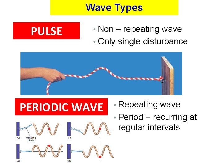 Wave Types PULSE • Non – repeating wave • Only single disturbance PERIODIC WAVE