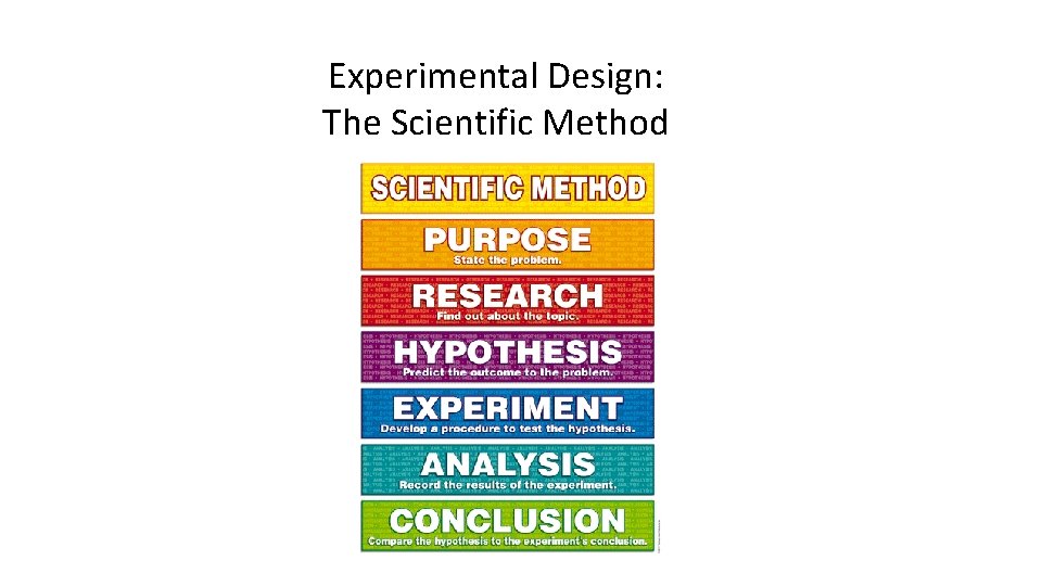 Experimental Design The Scientific Method What is the