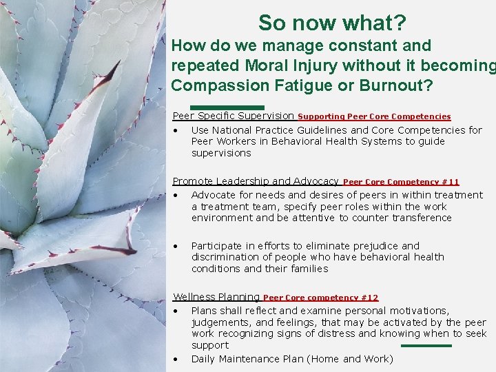 So now what? How do we manage constant and repeated Moral Injury without it