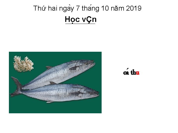 Thứ hai nga y 7 tha ng 10 năm 2019 Ho c vÇn ca