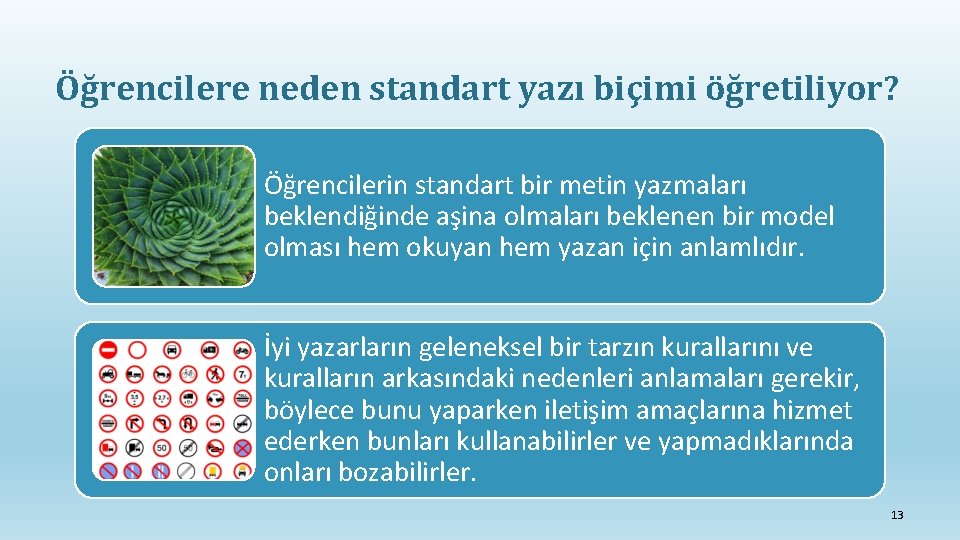 Öğrencilere neden standart yazı biçimi öğretiliyor? Öğrencilerin standart bir metin yazmaları beklendiğinde aşina olmaları
