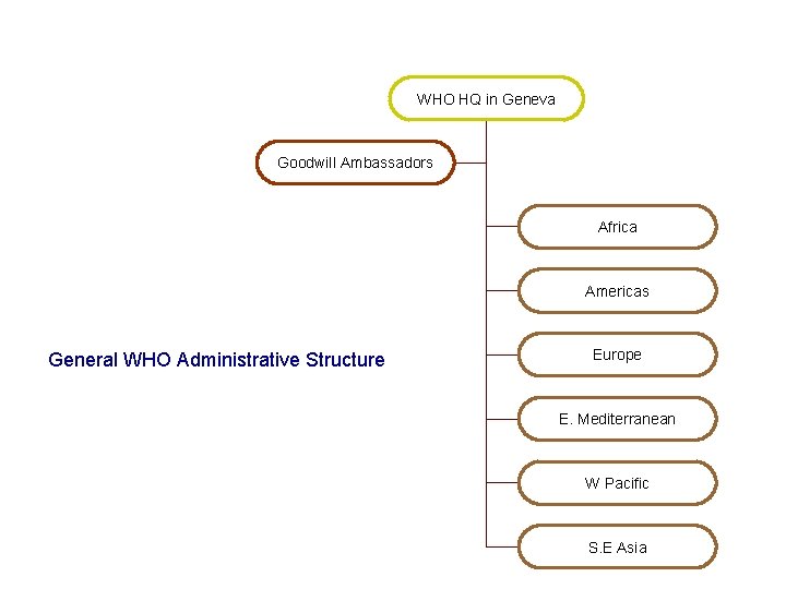 WHO HQ in Geneva Goodwill Ambassadors Africa Americas General WHO Administrative Structure Europe E.