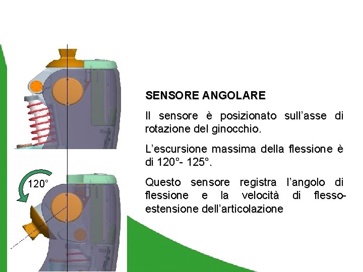 SENSORE ANGOLARE Il sensore è posizionato sull’asse di rotazione del ginocchio. L’escursione massima della