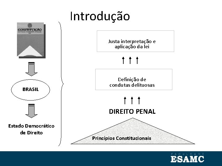 Introdução Justa interpretação e aplicação da lei BRASIL Definição de condutas delituosas DIREITO PENAL