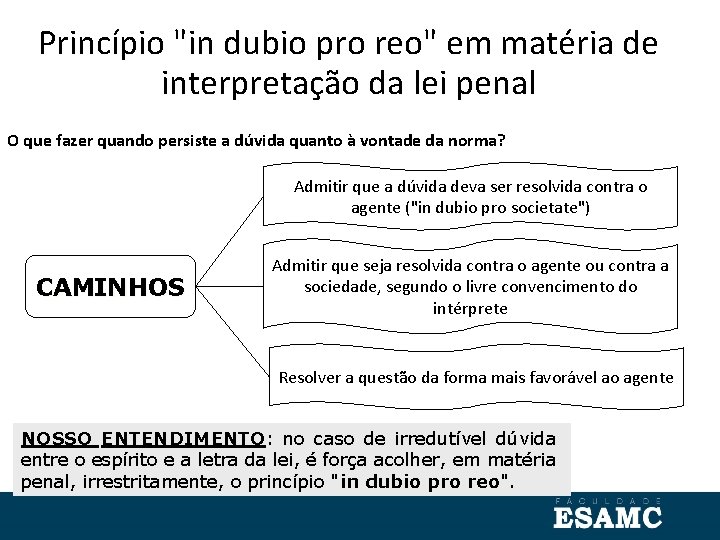 Princípio "in dubio pro reo" em matéria de interpretação da lei penal O que