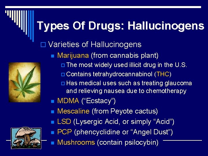 Types Of Drugs: Hallucinogens o Varieties of Hallucinogens n Marijuana (from cannabis plant) p