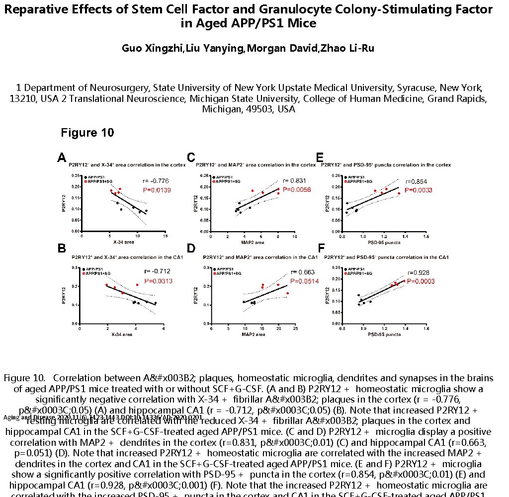 Reparative Effects of Stem Cell Factor and Granulocyte Colony-Stimulating Factor in Aged APP/PS 1