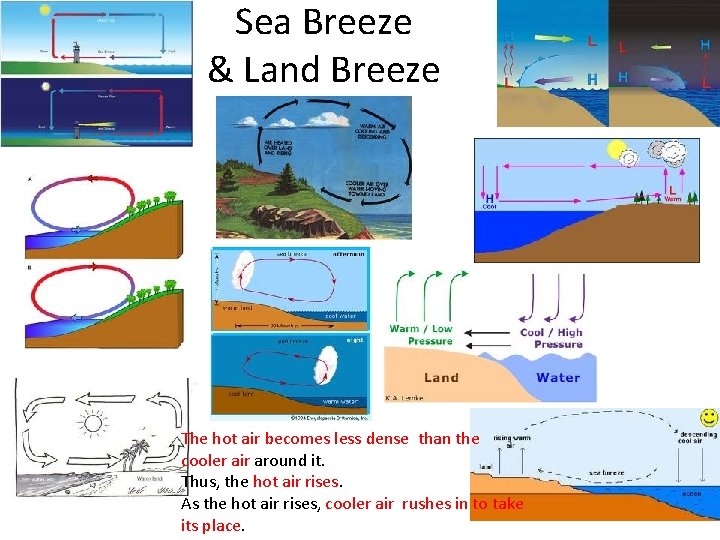Sea Breeze & Land Breeze The hot air becomes less dense than the cooler