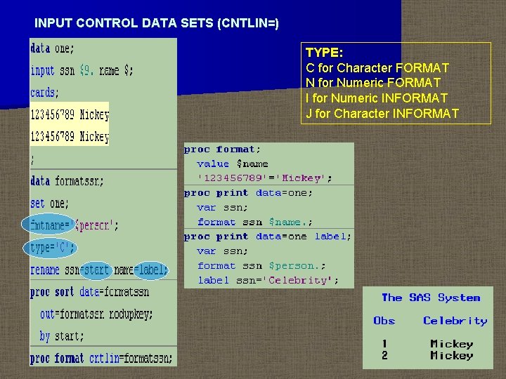 INPUT CONTROL DATA SETS (CNTLIN=) TYPE: C for Character FORMAT N for Numeric FORMAT