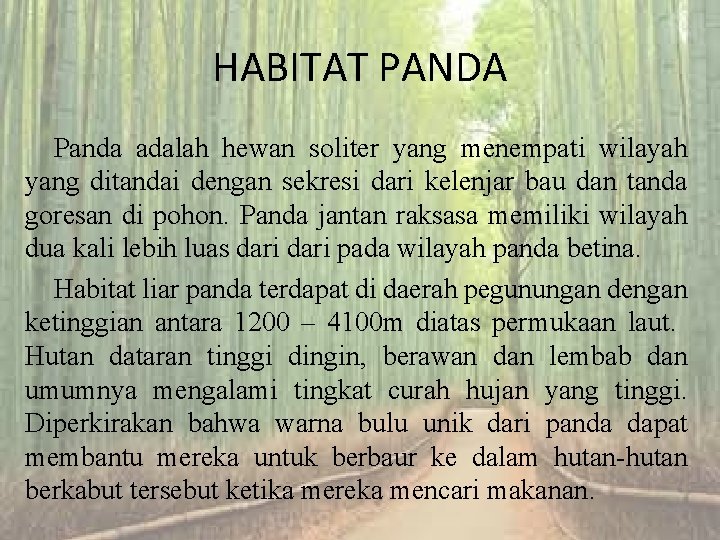 HABITAT PANDA Panda adalah hewan soliter yang menempati wilayah yang ditandai dengan sekresi dari