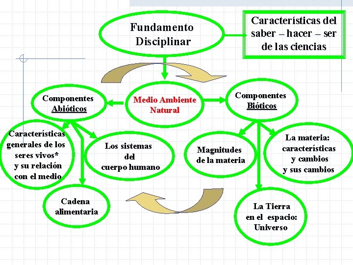 Características del saber – hacer – ser de las ciencias Fundamento Disciplinar Componentes Abióticos