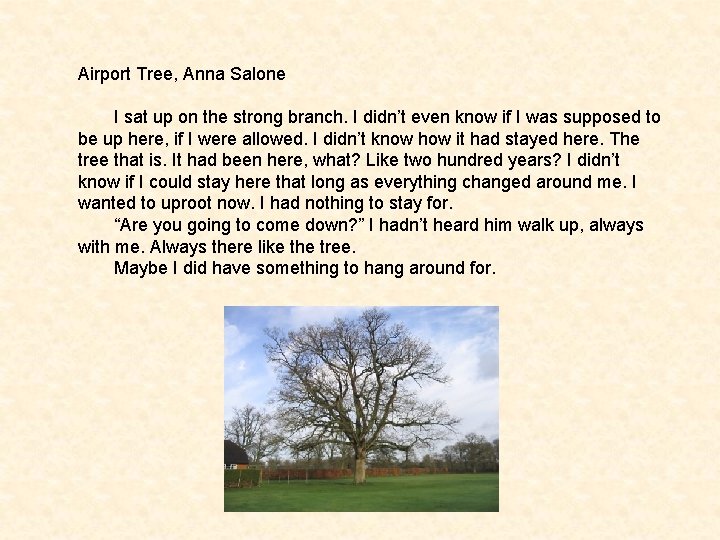 Airport Tree, Anna Salone I sat up on the strong branch. I didn’t even