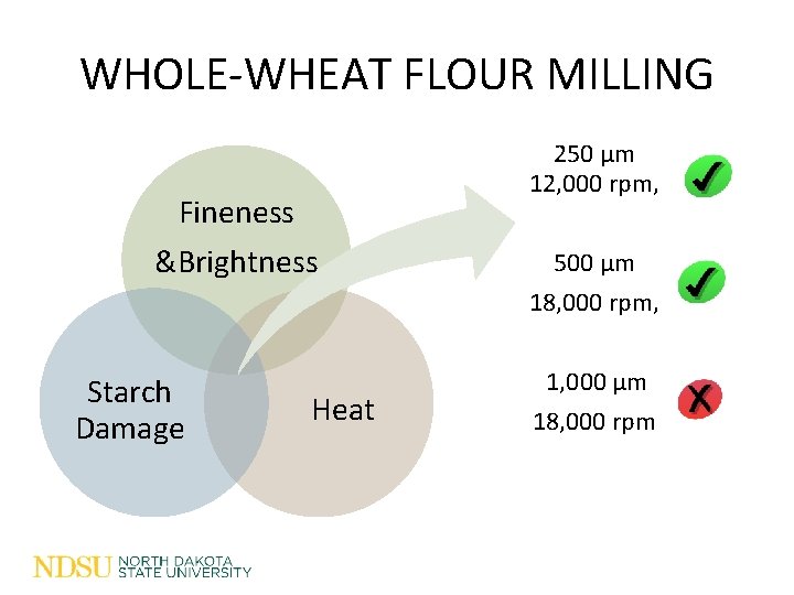 WHOLE-WHEAT FLOUR MILLING Fineness &Brightness 250 µm 12, 000 rpm, 500 µm 18, 000 WHOLE-WHEAT FLOUR MILLING Fineness &Brightness 250 µm 12, 000 rpm, 500 µm 18, 000