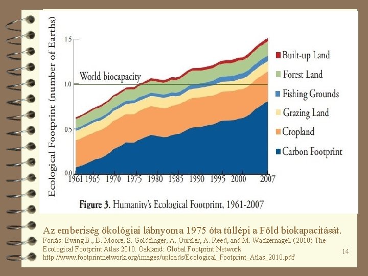 Az emberiség ökológiai lábnyoma 1975 óta túllépi a Föld biokapacitását. Forrás: Ewing B. ,