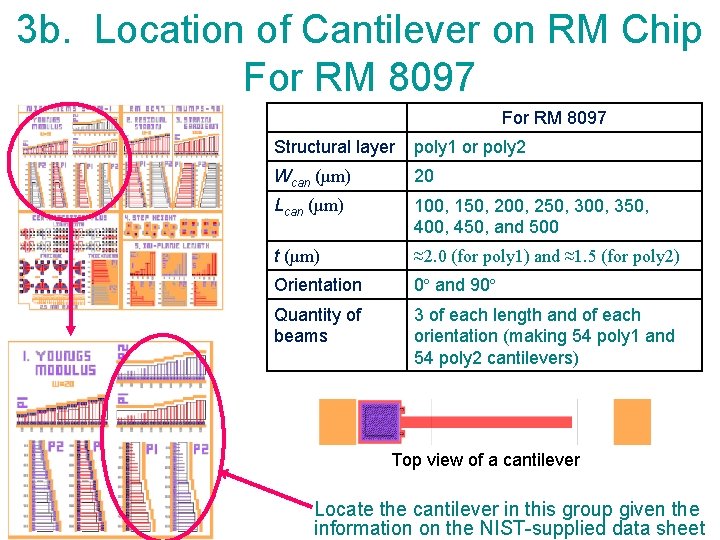 3 b. Location of Cantilever on RM Chip For RM 8097 Structural layer poly