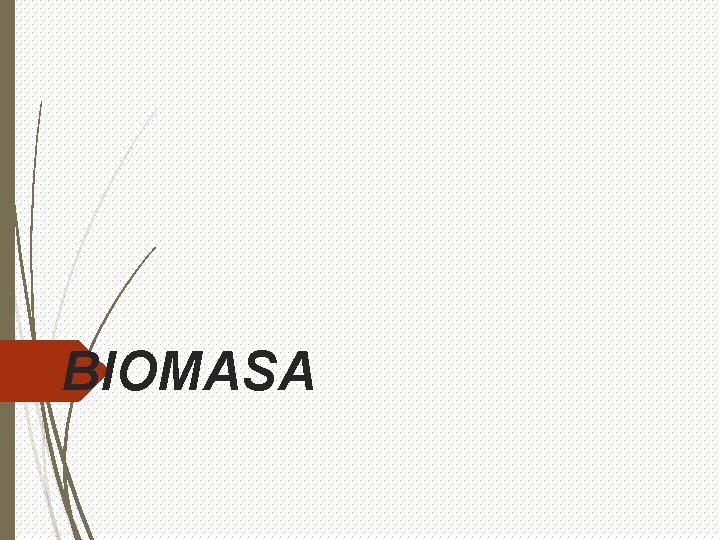 BIOMASA 