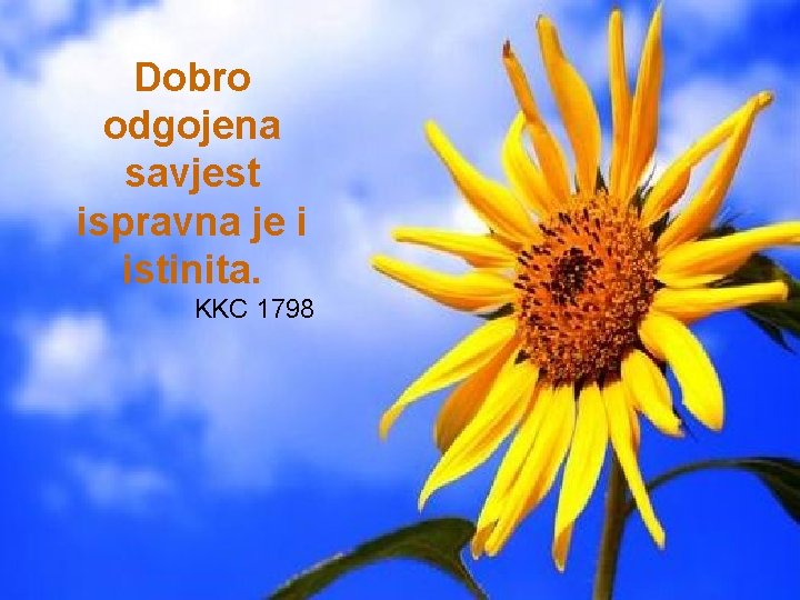 Dobro odgojena savjest ispravna je i istinita. KKC 1798 