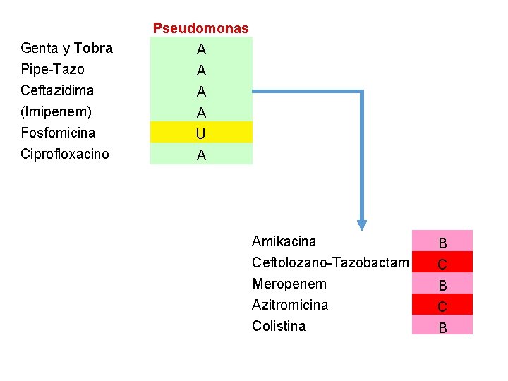 Genta y Tobra Pipe-Tazo Ceftazidima (Imipenem) Fosfomicina Ciprofloxacino Pseudomonas A A U A Amikacina Genta y Tobra Pipe-Tazo Ceftazidima (Imipenem) Fosfomicina Ciprofloxacino Pseudomonas A A U A Amikacina