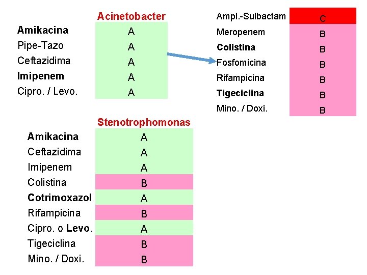 Amikacina Pipe-Tazo Ceftazidima Imipenem Cipro. / Levo. Acinetobacter A A A Stenotrophomonas Amikacina A Amikacina Pipe-Tazo Ceftazidima Imipenem Cipro. / Levo. Acinetobacter A A A Stenotrophomonas Amikacina A