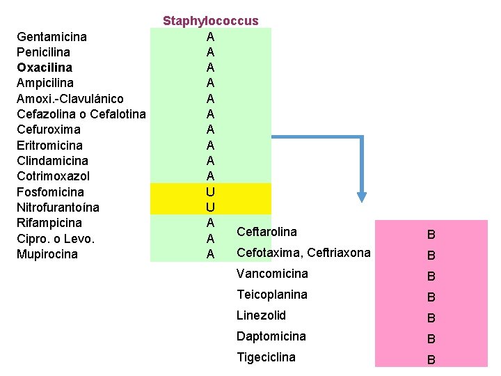 Gentamicina Penicilina Oxacilina Ampicilina Amoxi. -Clavulánico Cefazolina o Cefalotina Cefuroxima Eritromicina Clindamicina Cotrimoxazol Fosfomicina Gentamicina Penicilina Oxacilina Ampicilina Amoxi. -Clavulánico Cefazolina o Cefalotina Cefuroxima Eritromicina Clindamicina Cotrimoxazol Fosfomicina