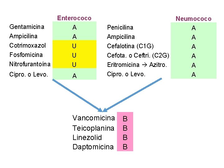 Gentamicina Ampicilina Cotrimoxazol Fosfomicina Nitrofurantoína Enterococo A A U U U Cipro. o Levo. Gentamicina Ampicilina Cotrimoxazol Fosfomicina Nitrofurantoína Enterococo A A U U U Cipro. o Levo.