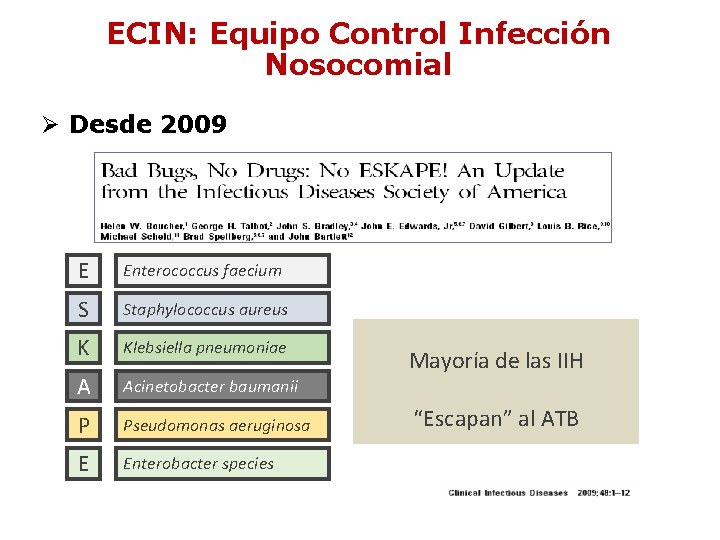 ECIN: Equipo Control Infección Nosocomial Ø Desde 2009 E Enterococcus faecium S Staphylococcus aureus ECIN: Equipo Control Infección Nosocomial Ø Desde 2009 E Enterococcus faecium S Staphylococcus aureus