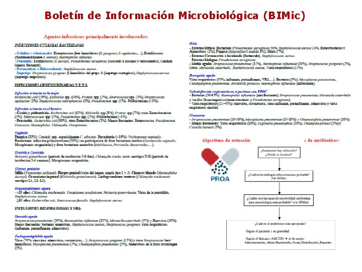 Boletín de Información Microbiológica (BIMic) Boletín de Información Microbiológica (BIMic)
